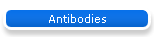 Antibodies