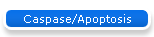 Caspase/Apoptosis