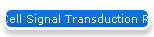 Cell Signal Transduction Research Antibodies