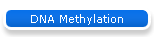 DNA Methylation
