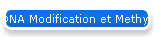 DNA Modification et Methylation
