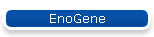 EnoGene