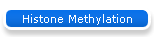 Histone Methylation