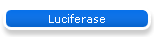 Luciferase