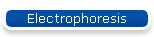 Electrophoresis