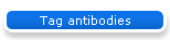 Tag antibodies