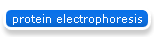 protein electrophoresis