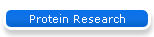 Protein Research