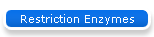 Restriction Enzymes