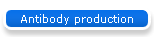 Antibody production