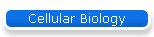 Cellular Biology